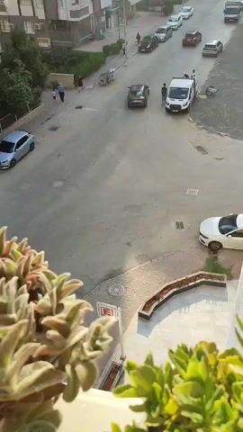 The video shows a street scene from an elevated perspective. In the foreground, there are lush green plants obscuring the bottom of the frame. The street is paved and appears to be in a residential area, with apartment buildings lining one side. Several cars are parked along the street and driving on it. A white van is in the middle of the street, and two people are standing near it. Further down the street, there are more cars and a few pedestrians. On the right side of the street, a white car is parked near a planter box. The lighting suggests it is daytime.