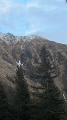 Train passenger records passing evergreens near Poschiavo, Switzerland