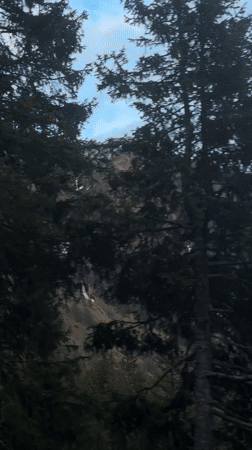 Train passenger records passing evergreens near Poschiavo, Switzerland