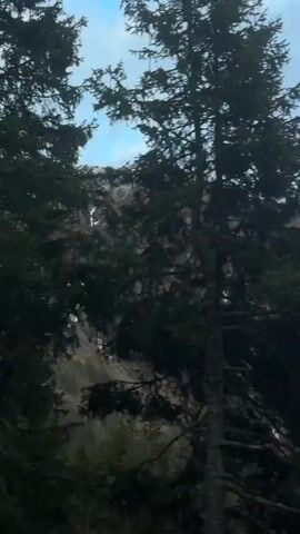 The video opens with a blurry, close-up view of dark evergreen trees, seen from a moving vehicle. The sound of a train whistle and rolling on tracks is audible, suggesting the footage is captured from a train.

As the camera pans upwards and to the right, a majestic mountain landscape comes into view. The mountains are rugged, with patches of snow on their peaks and slopes, contrasting with areas of brown and dark green vegetation, indicative of forests. The sky is overcast with soft blue and grey clouds.

The train continues to move, offering a sweeping panorama of the mountainous terrain. Another mountain with significant snow cover is revealed in the distance. Briefly, a yellow and black striped pole, possibly a marker or part of the train's structure, appears in the foreground on the right side of the frame. The overall scene depicts a serene and impressive mountain journey, likely within the Poschiavo region of Switzerland, given the provided context.