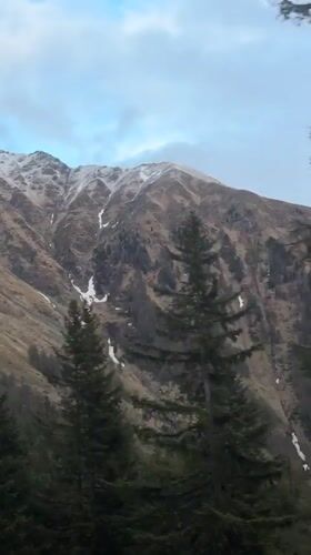 Train passenger records passing evergreens near Poschiavo, Switzerland