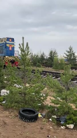 A blue and yellow train is moving on a track in a sparse, industrial-looking area. The sky is overcast. In the foreground, there are a few small evergreen trees growing in the dirt, along with a discarded car tire and some trash. The train is approaching the camera.  The number 4246 is visible on the side of the train.