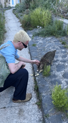 Man feeds potato chips to stray cat in Lipari
