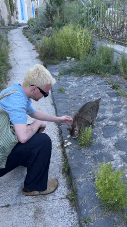 Man feeds potato chips to stray cat in Lipari