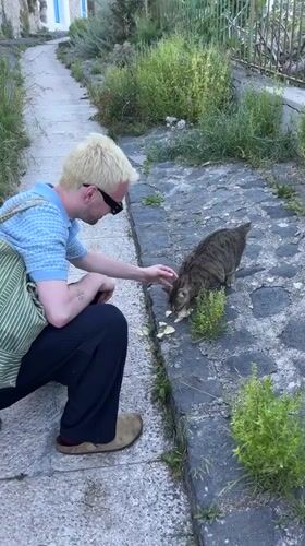 Man feeds potato chips to stray cat in Lipari