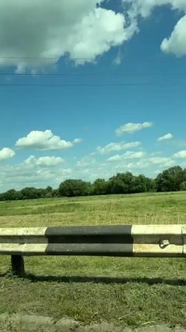 The video captures a view of a rural landscape, likely in Ruzhyn, Ukraine, on a bright, sunny day with scattered white clouds. The scene is dominated by vast green fields, some appearing recently mowed. A line of lush green trees forms a dense backdrop across the horizon. In the distance, several cows are visible grazing in the fields, adding a touch of pastoral life to the scenery. The foreground is occupied by a protective barrier, possibly a guardrail, painted in white with black stripes, suggesting the vantage point is from a roadside or a similar elevated position. The overall impression is one of serene natural beauty and agricultural activity. No text is visible in the media.
