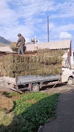 Hay hauling and construction work in Naryn City, Kyrgyzstan