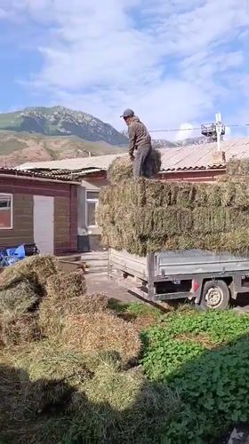 Hay hauling and construction work in Naryn City, Kyrgyzstan
