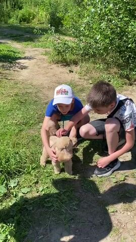 Two young boys, one wearing a white baseball cap with cartoon characters and a blue t-shirt, the other wearing a black and white t-shirt and black shorts, are crouching in a grassy, wooded area. They are interacting with a small, light brown poodle. The boy in the hat is petting the dog's back and head, while the other boy has his hand on the dog's hindquarters, appearing to be holding or steadying it. The dog is standing on all fours, facing the camera with its mouth slightly open. Sunlight filters through the trees, casting shadows on the ground. The background consists of green foliage and a dirt path.