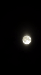 Full moon close-up over Tashkent, surface detail visible