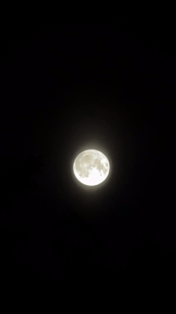 Full moon close-up over Tashkent, surface detail visible