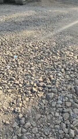 The video begins with a wide shot of a construction site, focusing on a large pile of gravel in the foreground. An excavator, primarily yellow, is visible in the background, parked on a dirt path. The excavator is facing a dirt embankment. The scene appears to be outdoors, with sunlight casting long shadows across the gravel.

As the video progresses, the perspective shifts slightly, and a white truck, partially visible on the left side of the frame, moves into view. The excavator remains stationary throughout the footage. The sun's rays create a lens flare effect, particularly noticeable in the middle and right portions of the screen. The overall environment suggests an active construction or landscaping operation, with debris and rough terrain.