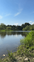 Tranquil river scenes documented in Сербишино, Russia