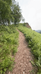 Hiking rocky forested hills above a Krasnoyarsk valley