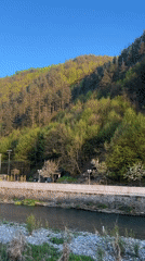 Scenic afternoon drive captures Bulgarian countryside near Zlatograd