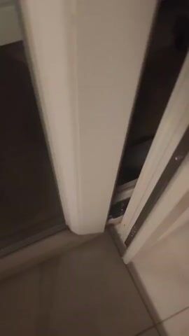 A black cat with white paws is seen sniffing at a small red object on the floor inside a cabinet. The cabinet appears to be made of wood and has metal sliding door tracks. The floor outside the cabinet is tiled. The video is shaky and the lighting is dim.