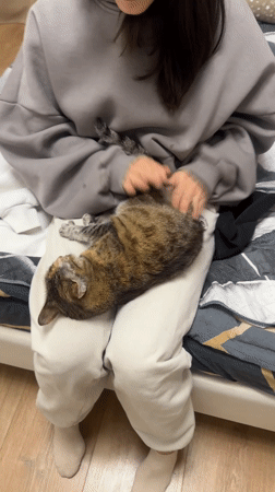 Couple shares quiet moments with pet cat at home