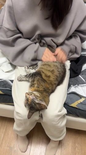 Couple shares quiet moments with pet cat at home