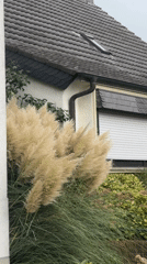 Quiet residential streets and gardens in Cleves, Germany