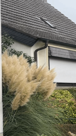 Quiet residential streets and gardens in Cleves, Germany