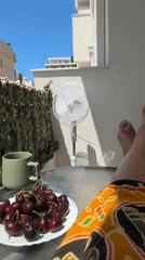 Cherries, a fan, and a lazy summer morning in Bar