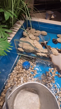 Seafood dining experience from selection to grilling in Xiaoshan