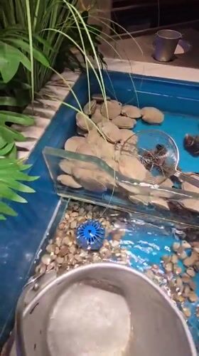 Seafood dining experience from selection to grilling in Xiaoshan