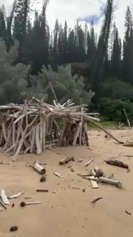 The video shows a beach with a driftwood structure. The beach has tan sand and scattered driftwood pieces. Behind the driftwood structure is a dense forest of tall pine trees. As the camera pans right, the view opens to reveal a rocky coastline with waves breaking on the shore. The sky is cloudy with patches of blue.
