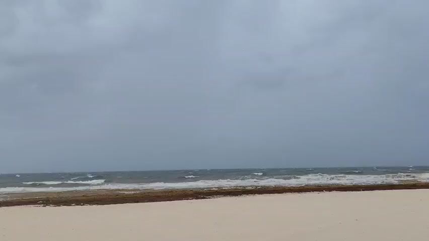 The video shows a beach on a cloudy day. The sand is light in color, and there is a line of brown seaweed along the shoreline. The ocean is choppy with white-capped waves. The sky is overcast. There are no people visible in the video.