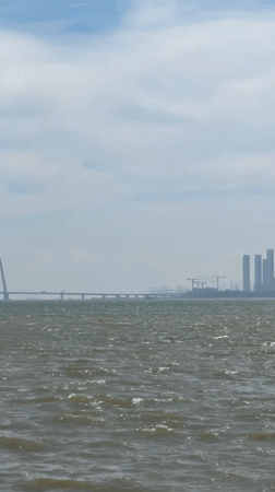Morning waters and bridge captured in Futian District