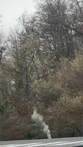 The video shows smoke rising from the ground amidst trees. The trees have bare branches and some with leaves, suggesting it is either late fall or early spring. The smoke is light and dissipates as it rises. The video is taken from a moving vehicle, possibly a car, as a roadside barrier is visible in the foreground. The sky appears overcast.