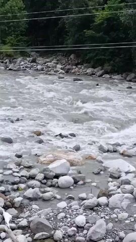 A video clip shows a wide river with choppy, white water flowing over a bed of gray and white rocks. Trees with dark green foliage line the opposite bank of the river. Power lines are visible strung between poles above the trees. The camera pans slowly to the right.