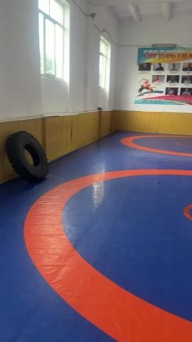 The video shows a wrestling mat in a room. The mat is blue with orange circles. There are windows on the wall. There is a poster on the wall with pictures of people. There is a tire on the floor. The video pans across the mat.
