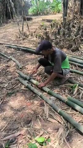 A person wearing a dark baseball cap, a grey t-shirt with green accents, and grey shorts is kneeling on the ground. They are holding a piece of bamboo in their hands and appear to be working on it with a tool. Several other pieces of cut bamboo are scattered around them on the dirt ground, which is covered in dry leaves and debris. In the background, there is a dense stand of tall bamboo trees. Further in the distance, there is some vegetation and a small structure. Another person can be seen in the far background. The overall scene suggests an outdoor work area where bamboo is being processed.