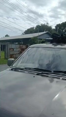 A person stands on the step of an open car door, reaching up to adjust a rack of items on the car's roof. The car is parked outdoors, with a building and trees in the background.