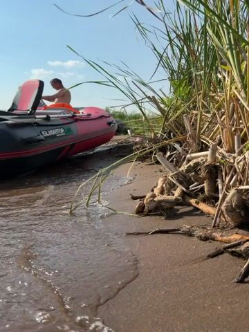 A red and black inflatable boat, labeled "Gladiator," rests on a sandy shore with a man sitting in it. The water laps at the shore where debris and tall grasses are visible. The sky is clear and blue.