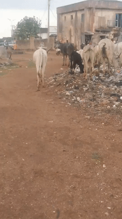 Daily life scenes documented across Bukuru, Nigeria during afternoon hours