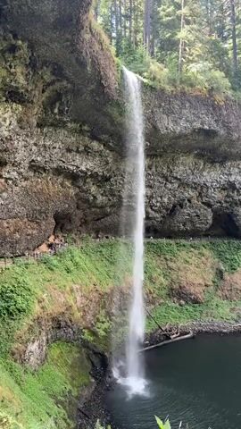 The video captures a tall, narrow waterfall cascading down a rocky cliff face into a dark pool of water. Lush green vegetation, including trees and moss, covers the cliff and the surrounding area. A narrow pathway, possibly a hiking trail, is visible along the side of the cliff, with small figures of people walking on it. The atmosphere appears serene and natural, with the sound of the falling water being the primary auditory element. The lighting suggests it is daytime, with sunlight filtering through the trees.