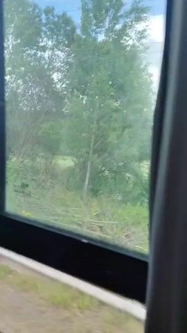 A moving vehicle's window displays a rural landscape. A white house with a blue roof appears in the distance amidst green trees and fields. A road sign with a curved arrow is visible. The camera is inside the vehicle.