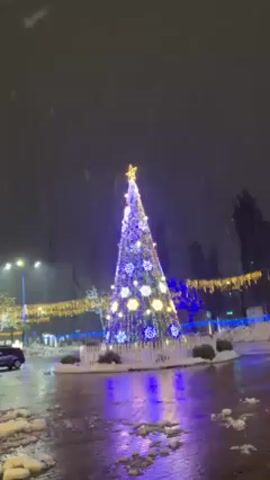 The video shows a large Christmas tree outdoors at night. The tree is covered in blue and white lights, and topped with a gold star. It is snowing lightly. The ground around the tree is wet and snow-covered, with puddles reflecting the tree's lights. There are streetlights and other decorative lights in the background. A car is parked nearby. A quiet song plays in the background.