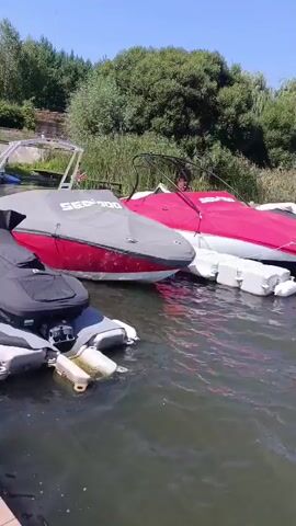 The video shows several jet skis and boats docked on a body of water on a sunny day. The boats are covered with tarps, one in red and one in gray. The jet ski in the foreground is black and also covered. The water is choppy, and there are trees and reeds in the background. There are no people visible in the video.