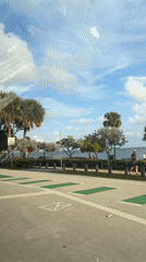 Evening drive captured along Miami-Key Biscayne waterfront corridor