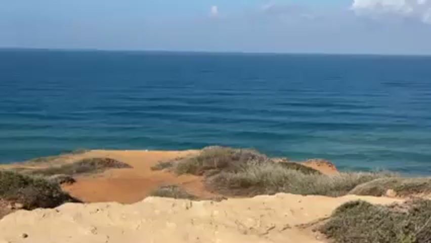 The scene is a static, medium shot of a cliff overlooking the ocean. The foreground is composed of sandy terrain, with scattered patches of low-lying vegetation. The cliff's edge drops off to reveal a second, lower tier of sandy ground, also dotted with similar vegetation. Beyond the cliff, the deep blue ocean stretches to the horizon under a mostly clear sky, with a few faint clouds visible in the distance. The water appears calm with minor ripples on the surface.