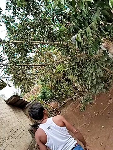 A person wearing a white tank top and blue jeans is seen from behind, looking up at a tree. The person appears to be reaching out towards the tree. The environment appears to be outdoors with a dirt ground and some buildings in the background. The video is oriented sideways.