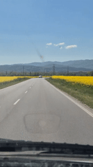 Vehicle travels highway through yellow flower fields near Pavel Banya