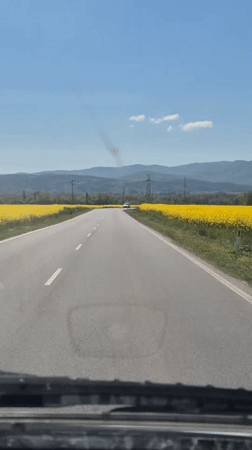 Vehicle travels highway through yellow flower fields near Pavel Banya