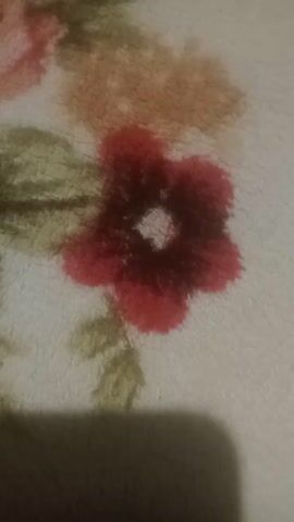 This media file is a close-up, blurry shot of a floral pattern on a textured surface, possibly fabric or a wall. The pattern features several flowers, predominantly in shades of red and pink, with green leaves. One prominent red flower with five petals is centrally located. To its left, there's a lighter-colored flower, possibly peach or orange, and a pink rose is partially visible in the lower left corner. The background is a light, textured off-white. The image appears to be taken indoors under artificial light, as indicated by a shadow on the right side. There is no discernible activity or event taking place; it is a static depiction of a decorative pattern. The blurriness and lack of clear detail prevent the identification of specific time of day, weather, or precise location cues beyond the floral motif. No text is visible in the media file. The overall impression is that of a decorative textile or wallpaper.