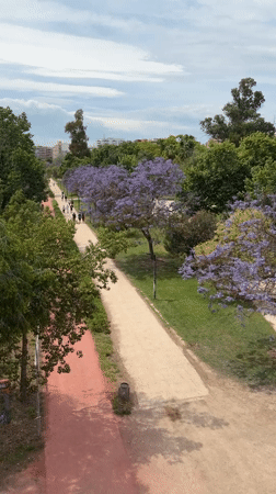 Daytime park pathways documented in València