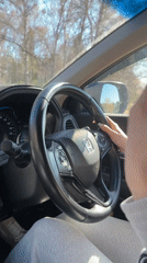 Woman driving Honda, lizard spotted during sunny morning
