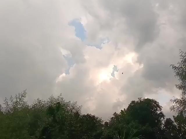 The video captures a cloudy sky with patches of sunlight breaking through. Trees and foliage are visible at the bottom of the frame, suggesting an outdoor environment. A small dark object, possibly a bird, is seen flying in the sky. The overall lighting is subdued due to the clouds, with the sun's rays creating brighter areas.